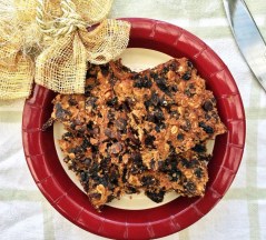 Christmas Fruit Slice