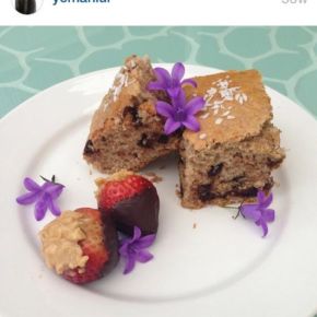 11665559_10153551777594388_859866315971719844_n-2